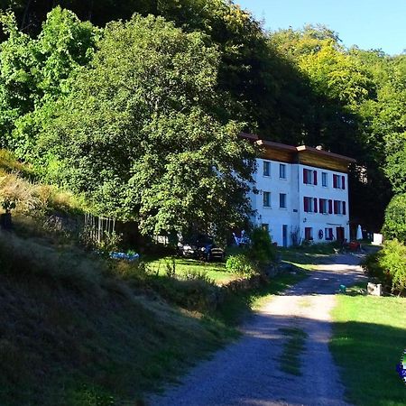 Domaine L'Imperatrice Lägenhet Plombières-les-Bains Exteriör bild
