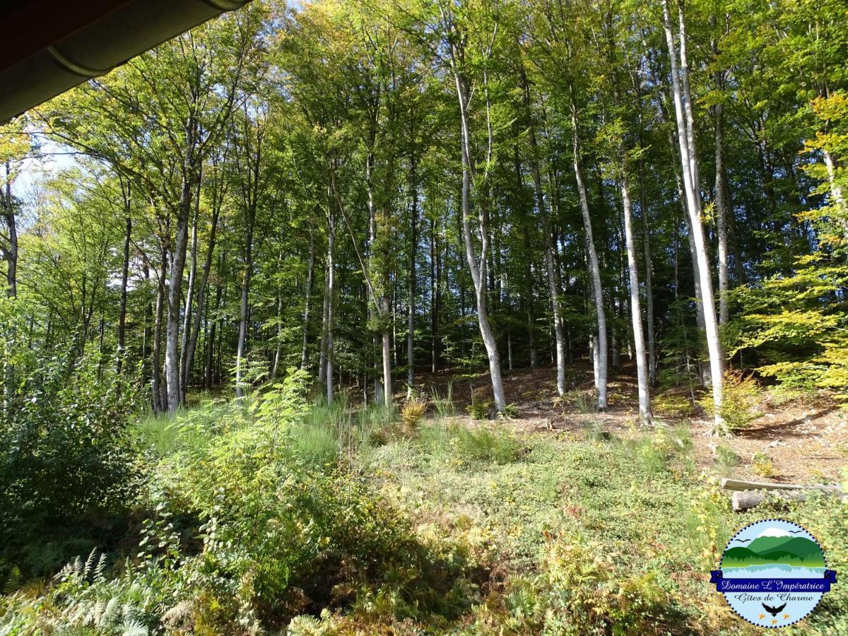Domaine L'Imperatrice Lägenhet Plombières-les-Bains Exteriör bild