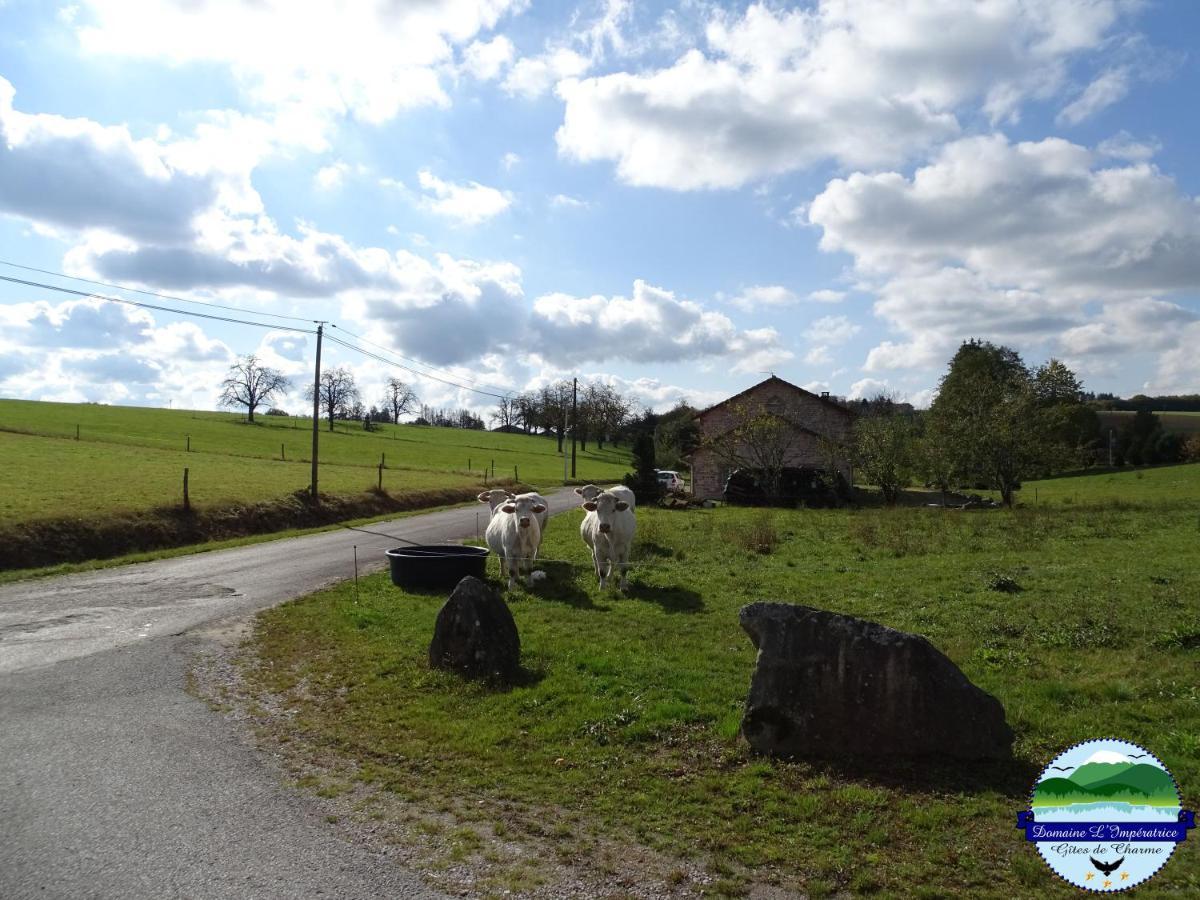 Domaine L'Imperatrice Lägenhet Plombières-les-Bains Exteriör bild